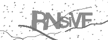 visual captcha